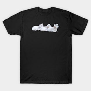 Sheep lambs 3 / Swiss Artwork Photography T-Shirt